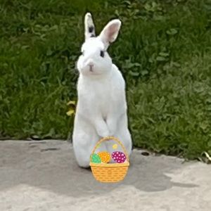 Meet your Posher, Alma